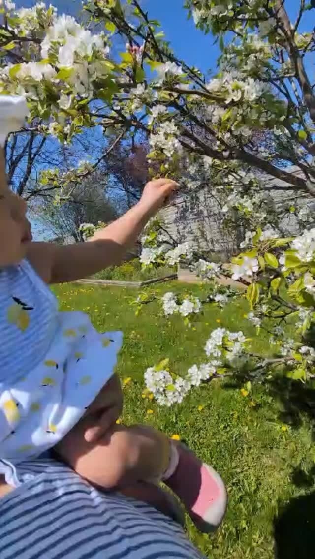 A child reaching up to spring blossoms during an outdoor play session